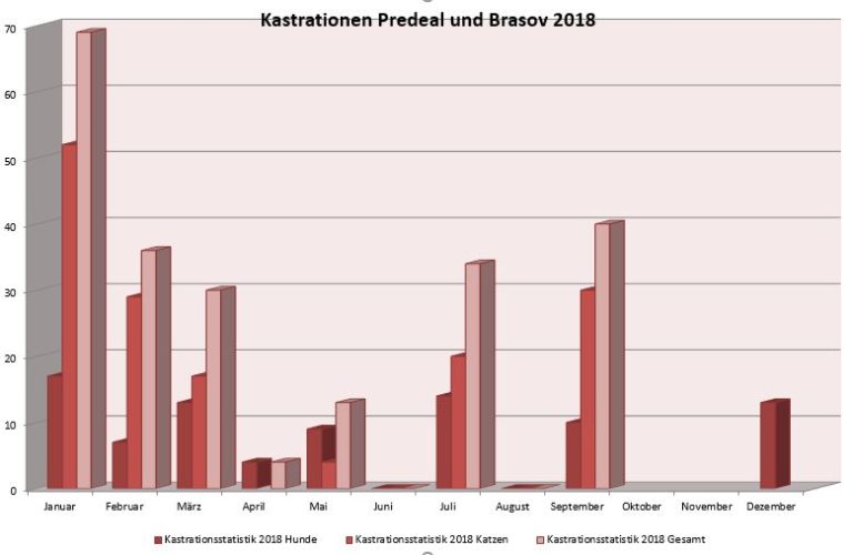 Kastrationen 2018 Stumme Schreie e.V. Tierschutzverein