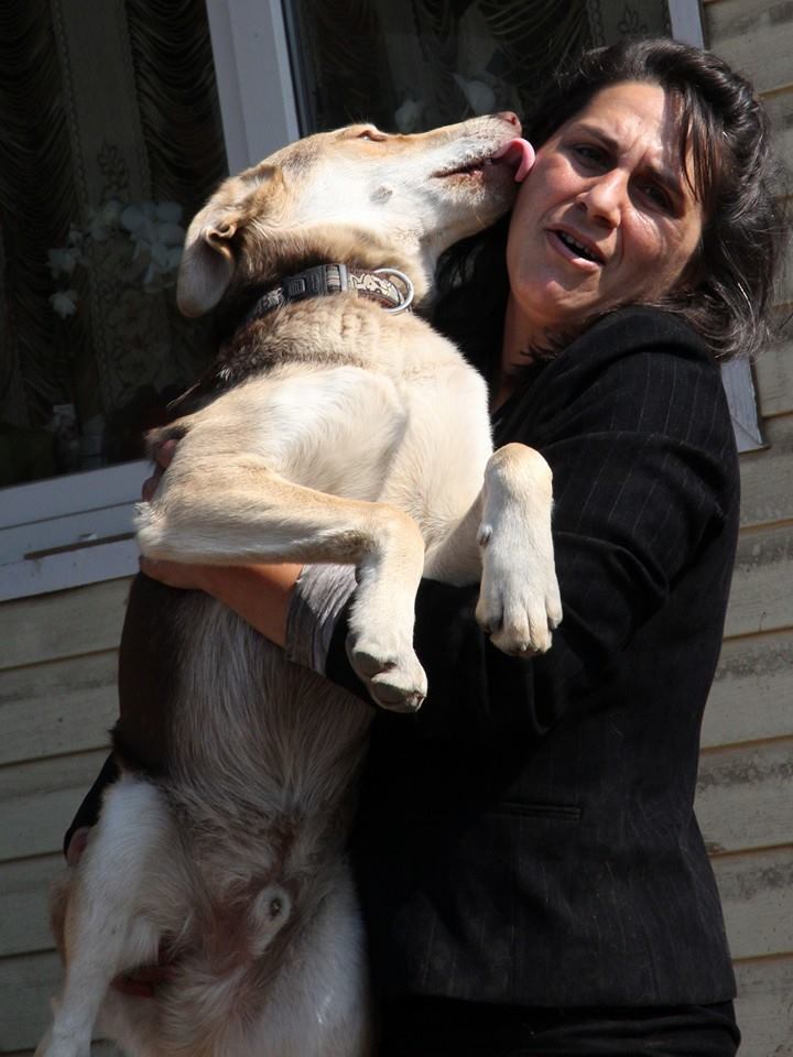 Gabriela mit rumänischem Straßenhund